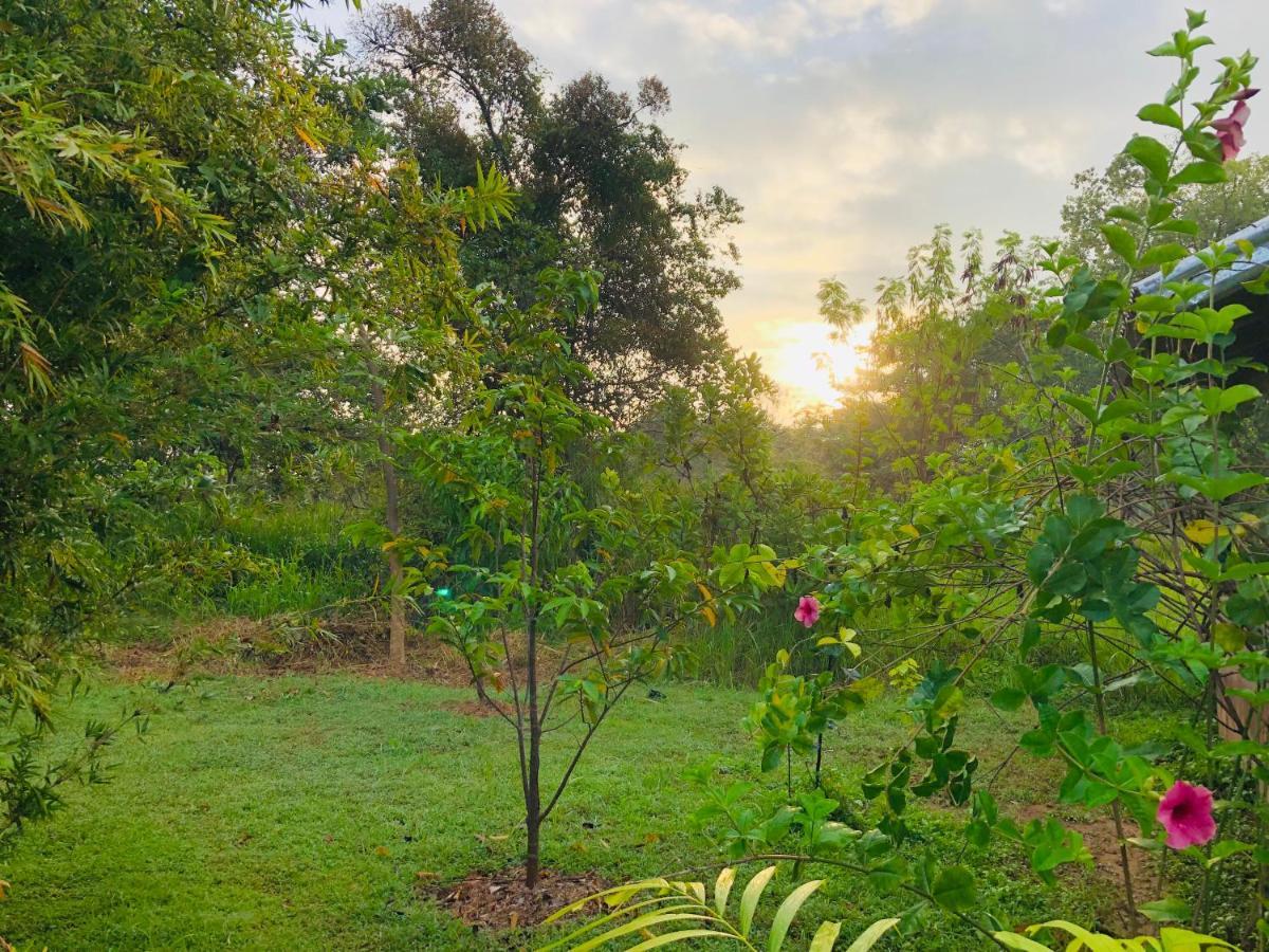 Sungreen Cottage Sigiriya Exterior foto