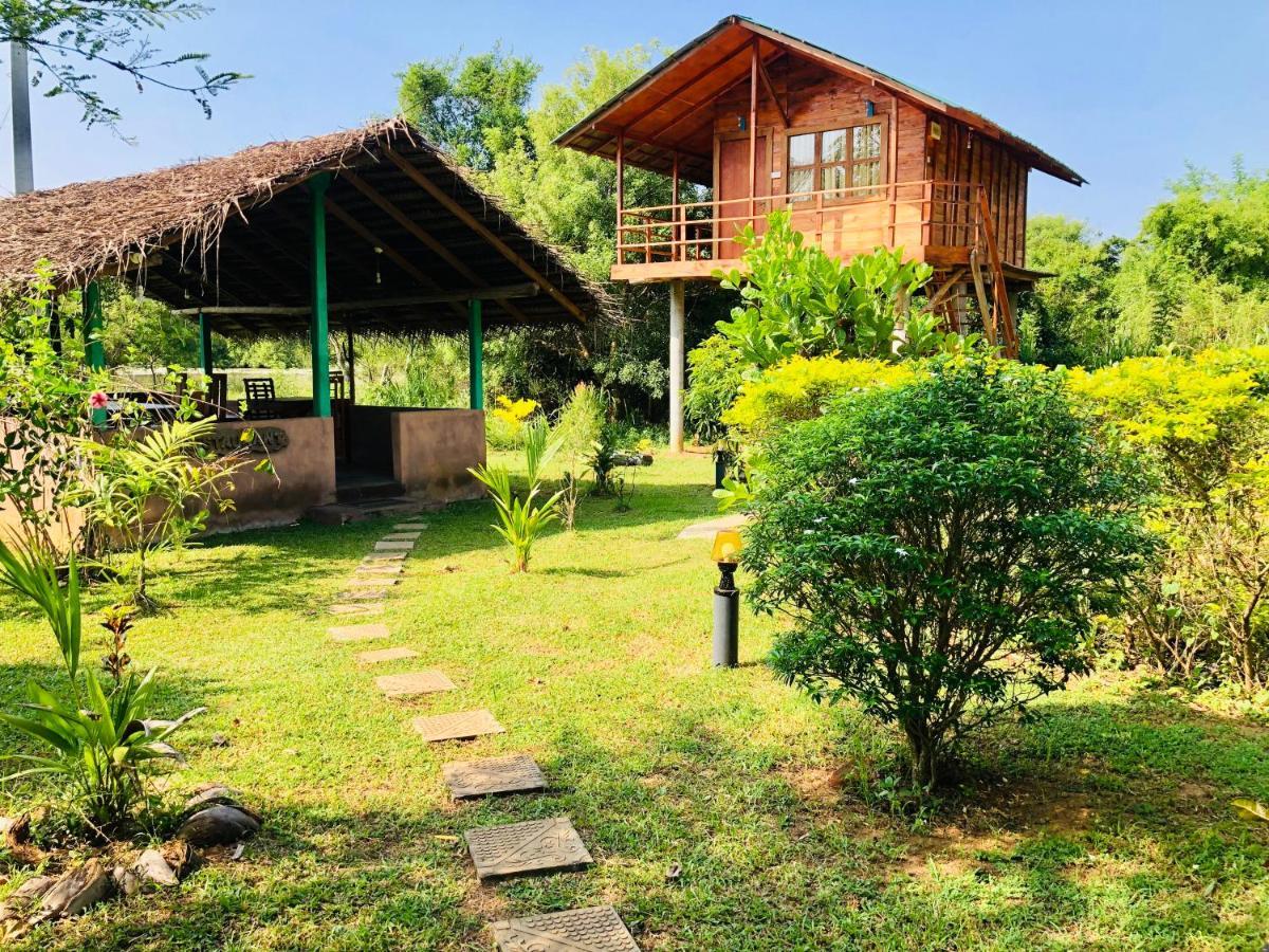 Sungreen Cottage Sigiriya Exterior foto